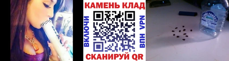где найти   Новый Уренгой  Гашиш Изолятор 