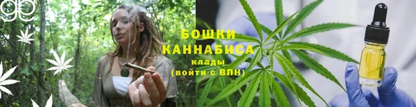 марки nbome Ельня
