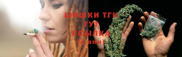 ECSTASY Елизово