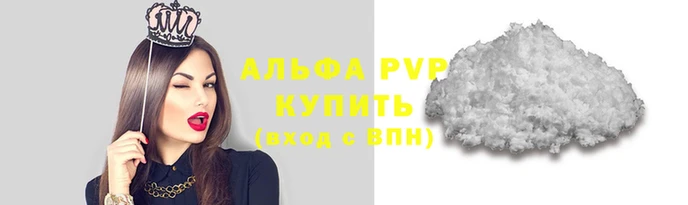 ECSTASY Елизово