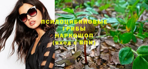 бошки Елабуга