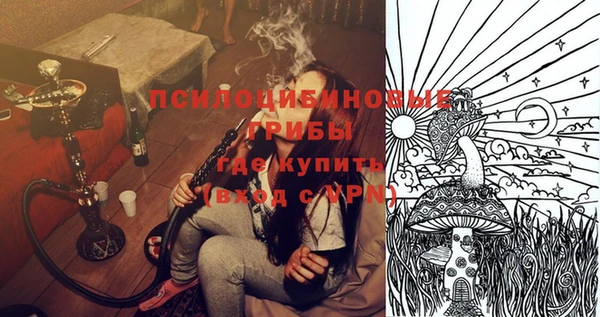 бошки Елабуга